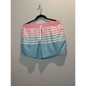 Chubbies Mens Swim Trunks Pink Blue Striped Small